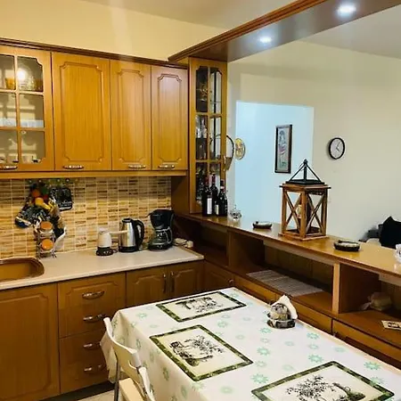 Aleksander's New And Spacious In شقة *